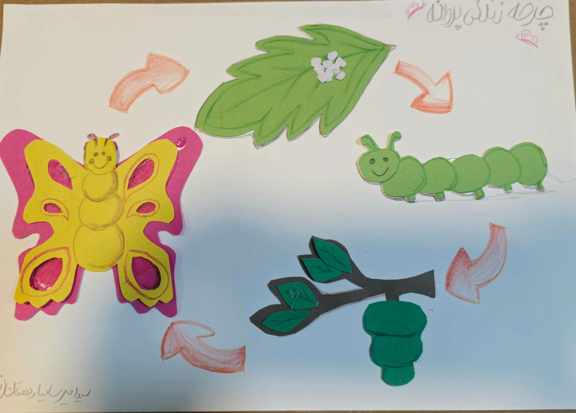 داستان کرم ابریشم