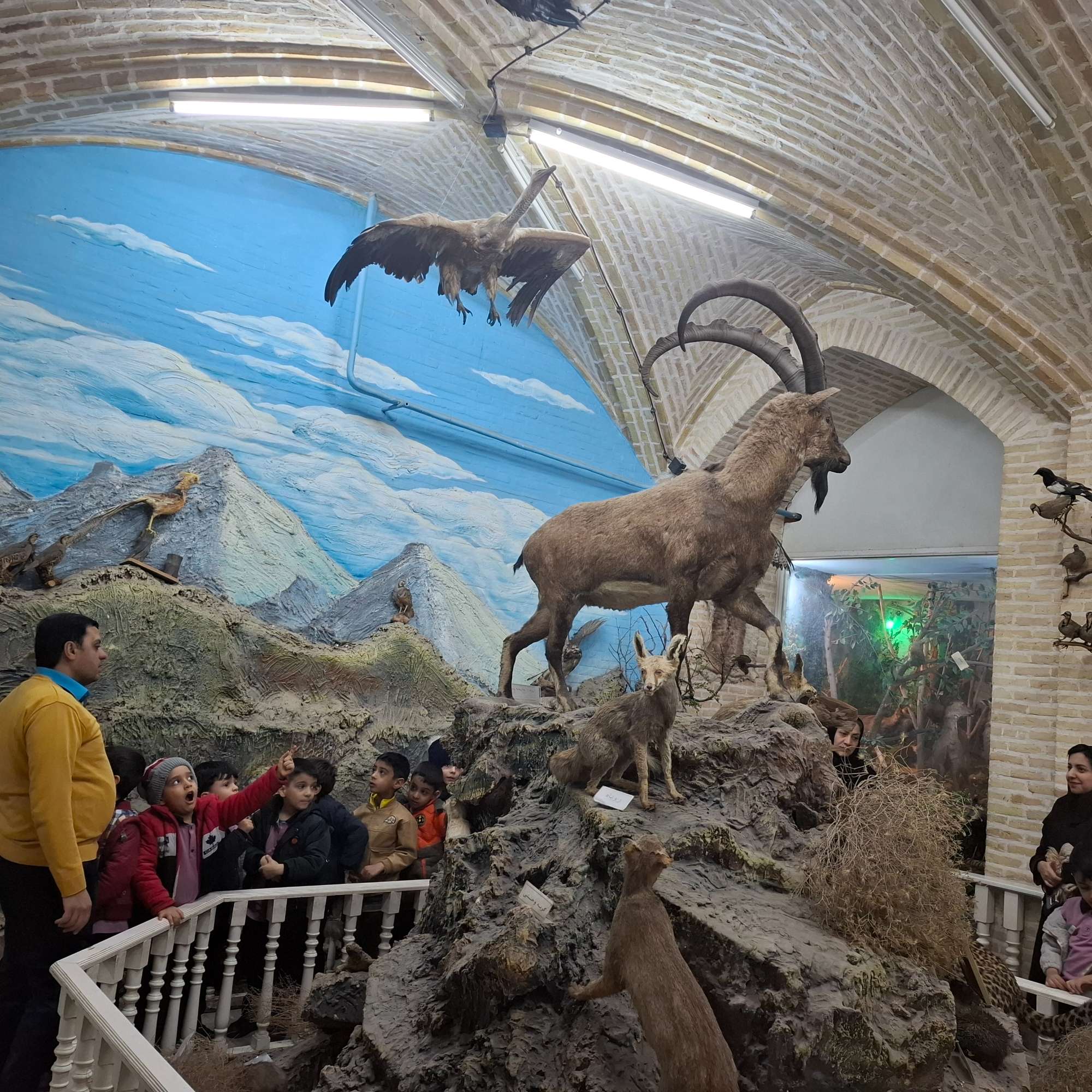 موزه علوم یزد