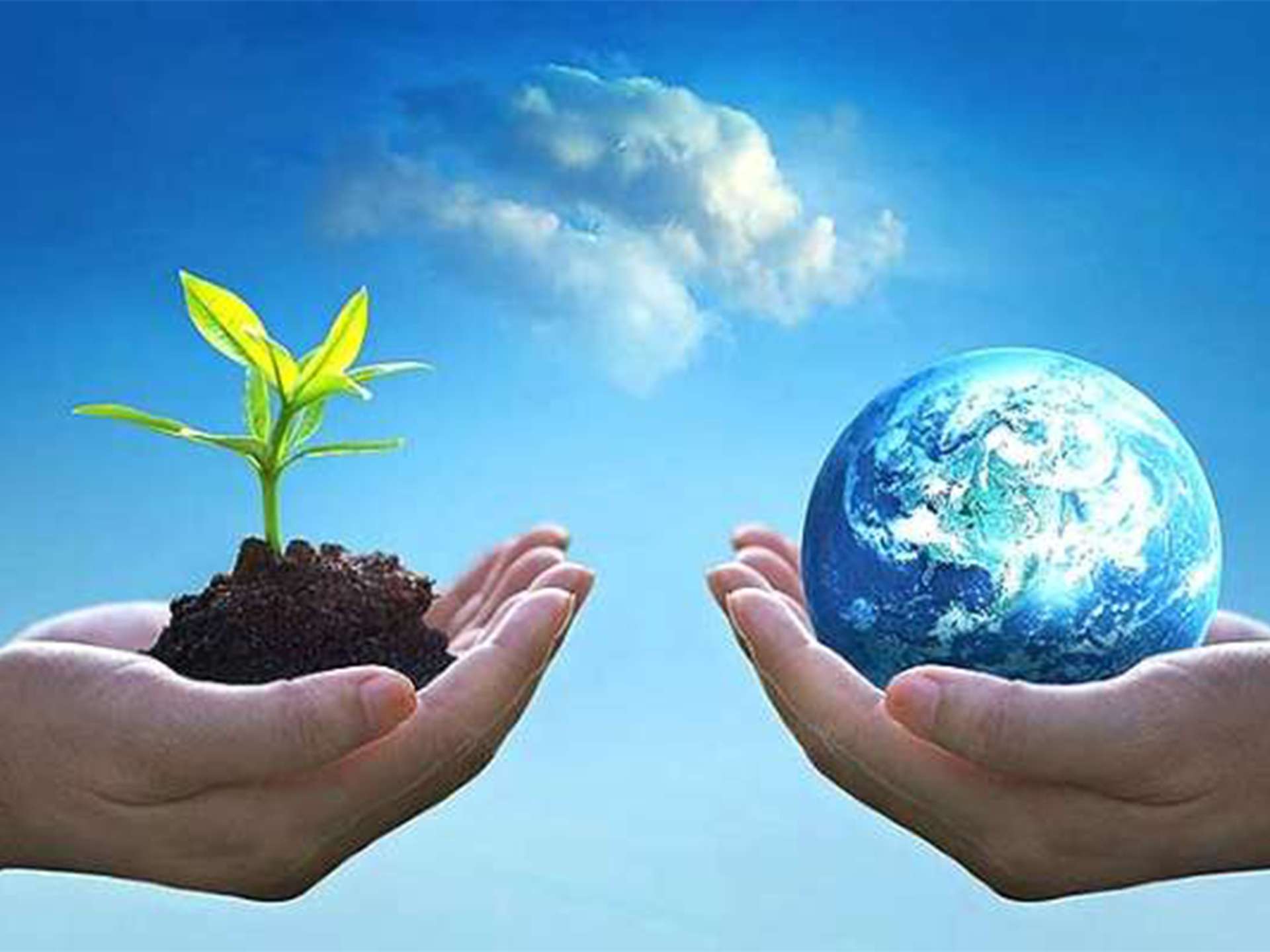 روز هوای پاک