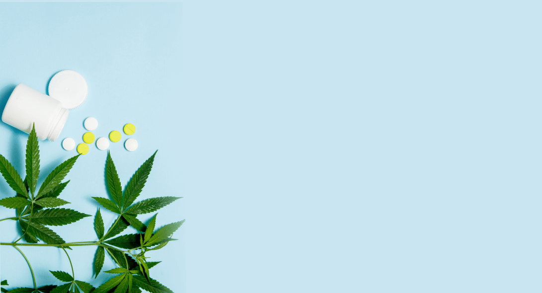 منشی و رابط انجمن